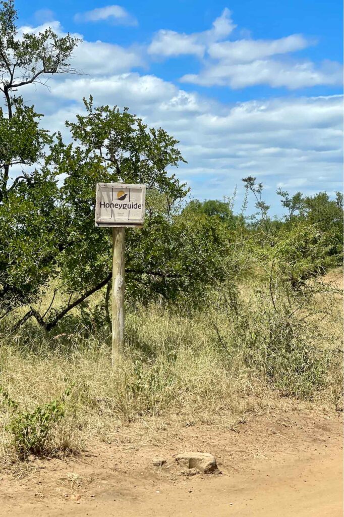 Honeyguide-Tented-Safari-Camp